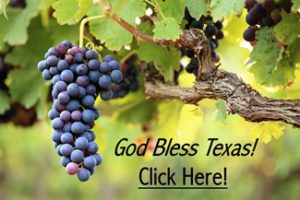 Texas Grapes - God Bless Texas