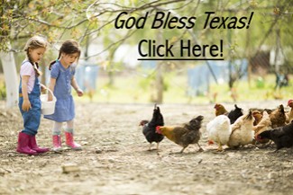 Chickens and Little Girls - God Bless Texas