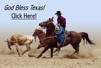A Cowboy's Lasso catches the Bull - God Bless Texas
